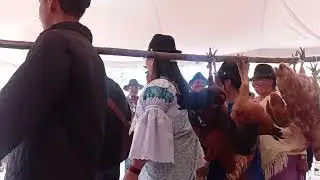 Rama de Gallos Familia Curillo (Angla 2023) 🪗🔊
