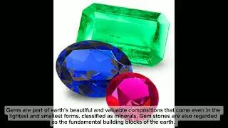 The Qualities of a GEM ( Organization and Management edition )