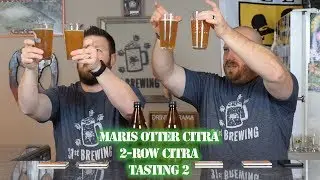 What grain is better for an IPA? Maris Otter Citra vs 2-Row Citra Tasting 2