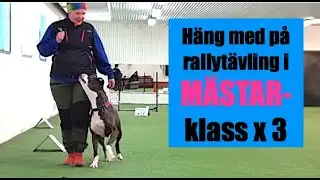 Titti och Snöa tävlade Mästarklass i rallylydnad