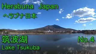 【Herabuna　Japan】ヘラブナ日本　No.4　筑波湖　【No.4　Lake Tsukuba】へらぶな　へらぶな釣り