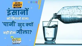 Water is Not Wet: Scientists के मुताबिक पानी क्यों नहीं होता गीला? Fun Facts | Social Scoop