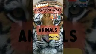 Learn Animals in English pt2 | Easy English 123 🇺🇸#esl #animals 🦁🦉🦘