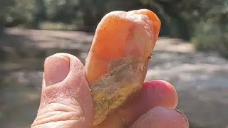EXPLORING IMPACT CRATER CREEK: Join me for a great fall, am I okay?