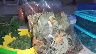 Resep herbal penyakit mematikan.. kanker dan komplikasi