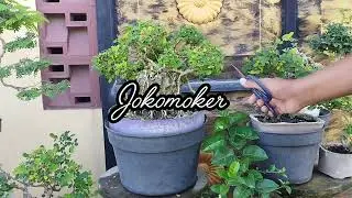 Hasil vidio dengan tripod baru 👍
