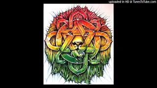D.L. Cordero- Jah Resistance (Heavy Reggae Intrumental)