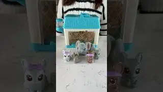 TINY MOUSE BABIES?! Little Live Pets Mama Surprise Minis REVEAL! #kidsvideo #kidsshorts #toysforkids
