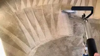 One room with carpet getting a good cleaning in New Bedford Massachusetts.