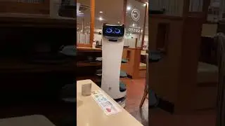 Robot Server Delivers Food to Table at Tech-savvy Restaurant in Tokyo