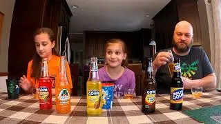 Bizarre Soda Flavors Taste Test!