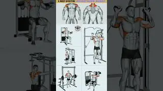 5 Shoulder Workout #gymworkout #shorts #shoulderworkout #fitness