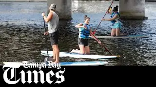 Stand-Up paddleboarding adventure on the Hillsborough River