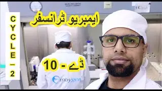 In-Vitro Culture | Day 10 | Cycle 2 | اِنویٹرو کلچر (آئ وی سی)