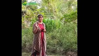 kheti badi Organic App