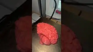 3D printed Brain on Bambu lab A1, making removable pieces for Kaws project #explore #3dprinting #art
