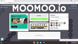 moomoo.io play thru