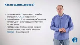 Что такое Алгоритм случайного леса Random Forest
