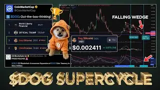 $DOG Supercycle - 99% Will Miss the Biggest Run in Crypto 🚀