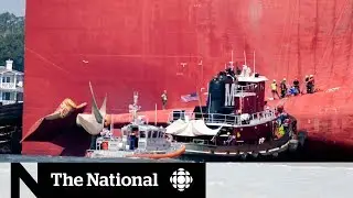 Crew trapped inside capsized cargo ship off Georgia coast are rescued