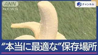 バナナ“本当に最適な保存場所”どこ…常温?冷蔵?冷凍?当たり前だと思ってたけど実は【スーパーJチャンネル】(2024年6月19日)