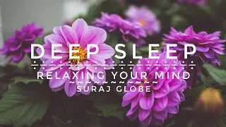 Deep Sleep Music | Mind Relaxing Music by Alan Frijns | Suraj Globe