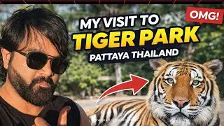 Saw the biggest Indian Bengal wild tigers in TIGER PARK Pattaya - Thailand 
