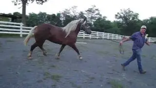M4H07774.MP4