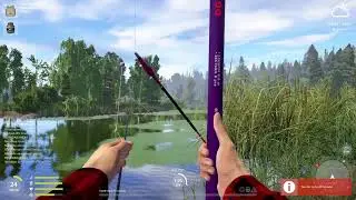 Russian Fishing 4 Float 2022 - Ep 226 - 4 weekly record telestick carps