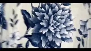 Romantic States - A Shell Is Born