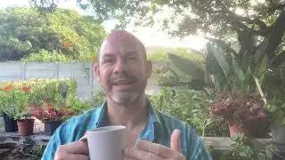 Confidence in uncertainty | Coffee meditation with Renier (ZR #19)