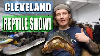 Cleveland Ohio Reptile Show TOUR!