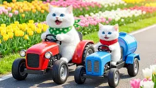 Mama Cat Trims Fur on the Farm and Makes Tiger Hat For Kittens At Home🐾🎩🐯
