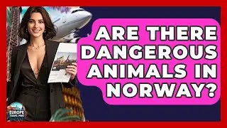 Are There Dangerous Animals In Norway? - Europe Travel Pros