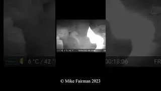 Bat Videos GardePro A3 Trail Camera 6 of 10 C&ocirc;tes d'Armor,  Brittany, France FR13 #shorts