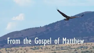 Bible Quotes: Gospel of Matthew 6:26 - Scripture #bible #birds #god