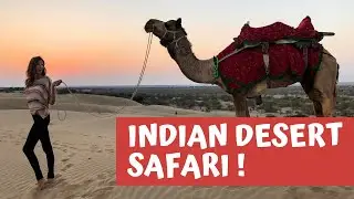 INDIAN DESERT SAFARI!🐪🌵JAISALMER, INDIA TRAVEL VLOG