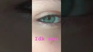 Shitpost