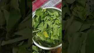gongura valla rogaalu raa vu # vathamu kudaa cheyyadhu# ఎలా వండాలి?