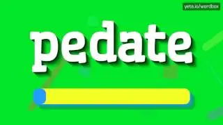 PEDATE - HOW TO PRONOUNCE IT!?