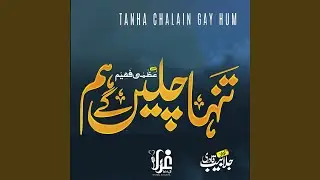 Tanha Chalain Gay Hum