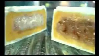 Taipan Bird's Nest Snowy Mooncake TVC