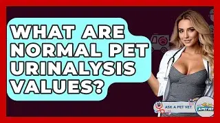What Are Normal Pet Urinalysis Values? - Ask A Pet Vet