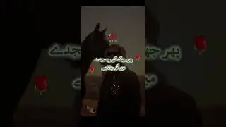 Banda nmaz klye #islamicchannel #funny #newnaath #btslyrics @SonySAB @LittleTreehouseIndia