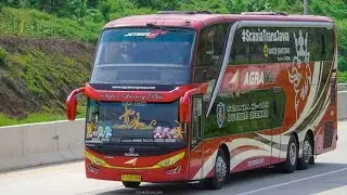 Bus Sudiro Tungga Jaya Karachai, Shuler, Ridley Dan PO Haryanto Batavia, Quinzha ada disini