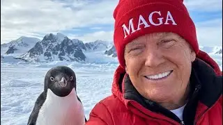 SWEET HOME GREENLAND 🐧 (Official Remix) &ldquo;Embrace The Penguin&rdquo; | The Viral MAGA Anthem 🇺🇸🔥