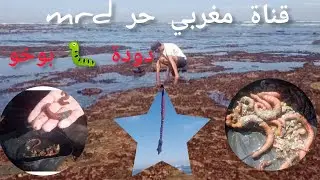 دودة 🐛 #بوخو الطعمة الفتاكة لعشاق #الصيد 🎣 #بالليل👌 راءيعة جداً 👍