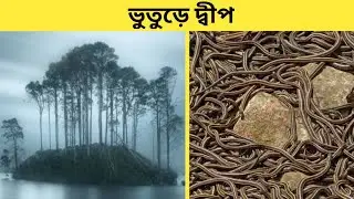 বিশ্বের সবচেয়ে ভয়ংকর দ্বীপগুলো | সাহস থাকলে দেখুন শেষ পর্যন্ত