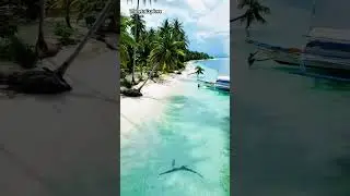 Tangkahan Island, Balabac, Palawan #nature #beachvibes #shortsvideo #viral #trending #subscribe