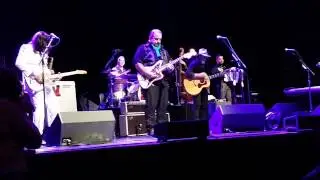 The Mavericks - 
